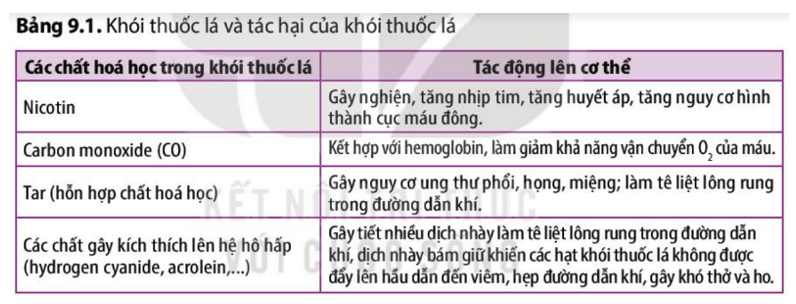 Tham khảo Bảng 9.1 và cho biết ý nghĩa của việc Xử phạt người hút thuốc lá ở nơi công cộng