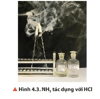 Chuẩn bị hai đầu đũa thuỷ tinh quấn bông. Đũa 1 nhúng vào dung dịch HCl đặc