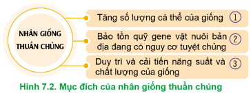  Hãy quan sát Hình 7.2 và cho biết mục đích của nhân giống thuần chủng