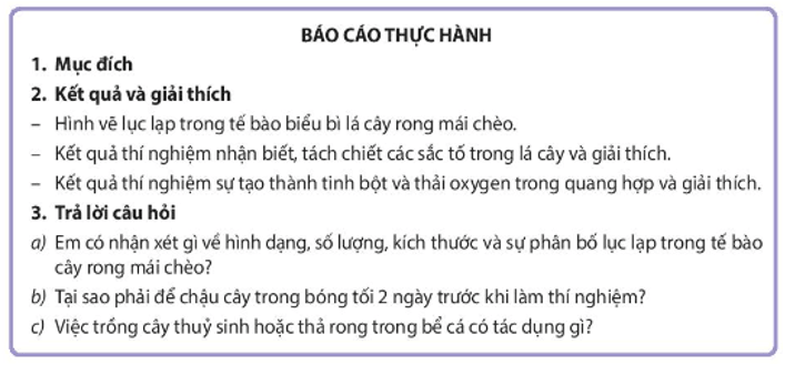 Học sinh viết báo cáo thực hành theo các nội dung sau