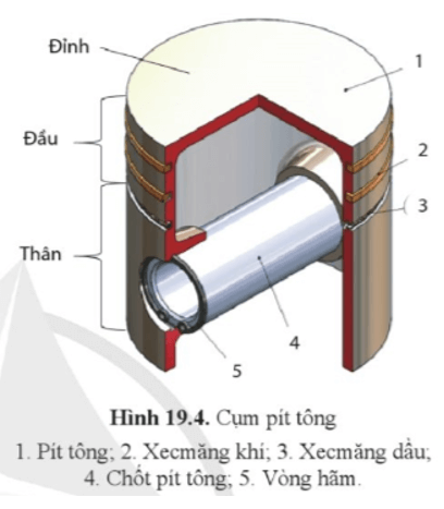 Quan sát hình 19.4 và cho biết cấu tạo của pít tông, vai trò của đỉnh