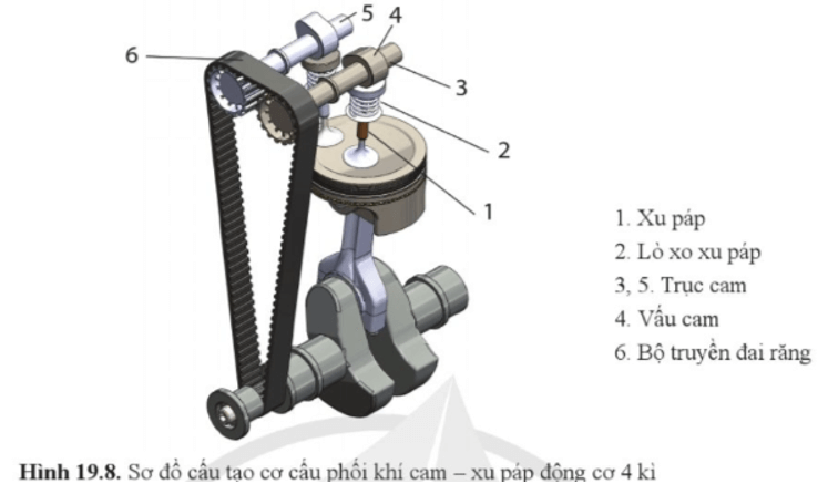 Quan sát hình 19.8 và chỉ ra các bộ phận chính của cơ cấu phối khí cam – xu