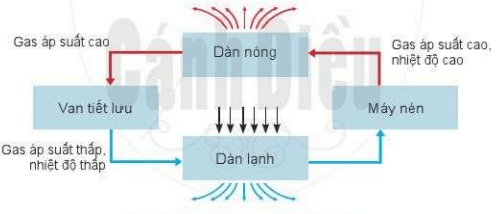 Đề thi Công nghệ lớp 6 Học kì 2 Cánh diều năm 2023 có ma trận (3 đề)