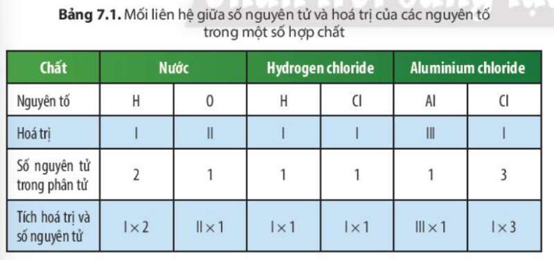  (ảnh 1)