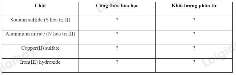  (ảnh 1)