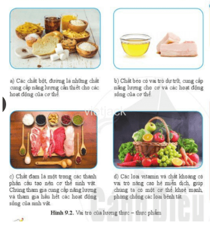 Hãy cho biết vai trò của lương thực – thực phẩm đối với con người
