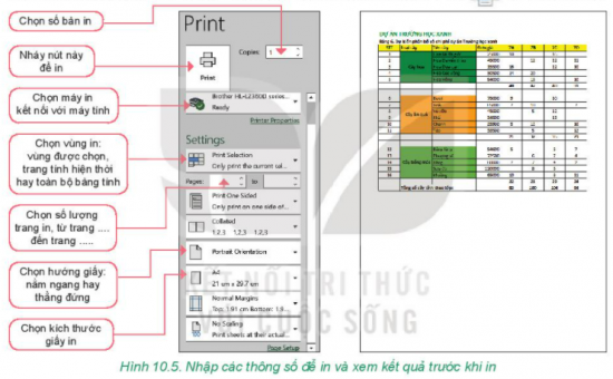 Tin học 7 Bài 10: Hoàn thiện bảng tính | Kết nối tri thức (ảnh 2)