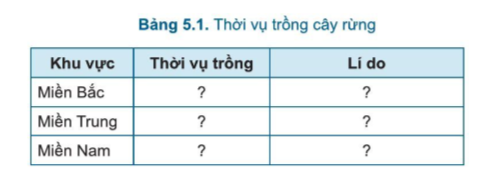 Công nghệ 7 Bài 5: Trồng cây rừng | Cánh diều (ảnh 4)