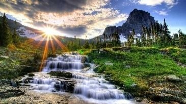 Giáo án Lời của cây (Chân trời sáng tạo) 2023| Ngữ văn 7 (ảnh 2)