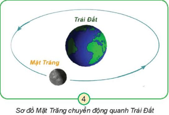 Tự nhiên xã hội lớp 3 Bài 29 trang 116, 117 Khám phá - Kết nối tri thức