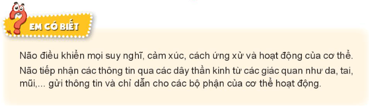 Tự nhiên xã hội lớp 3 Bài 22 trang 90, 91 Khám phá - Kết nối tri thức