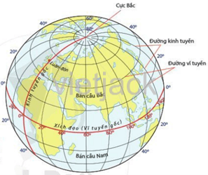 Quan sát hình 1.2, hãy cho biết: Vĩ tuyến nào là dài nhất. Vĩ tuyến nào là ngắn nhất