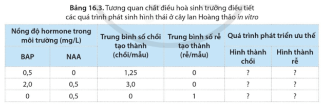 Benzyl – amino purin (BAP) là cytokinine tổng hợp và Naphthalene acetic acid