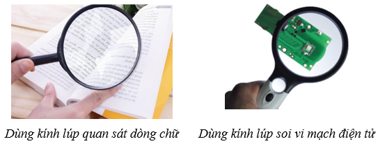 Sử dụng kính lúp | Kết nối tri thức