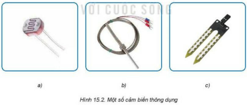 Lý thuyết Công nghệ 8 Bài 15 (Kết nối tri thức): Cảm biến và mo đun cảm biến (ảnh 1)