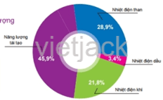 Hình bên là cơ cấu nguồn năng lượng dùng để sản xuất điện ở nước ta năm 2015