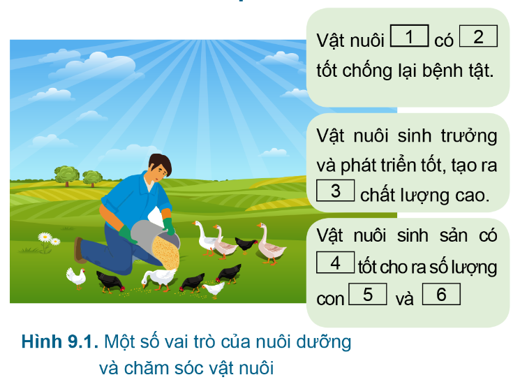 Công nghệ 7 Bài 9: Nuôi dưỡng và chăm sóc vật nuôi | Cánh diều (ảnh 1)