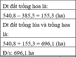 Giáo án Toán lớp 5 bài Luyện tập trang 162 mới, chuẩn nhất