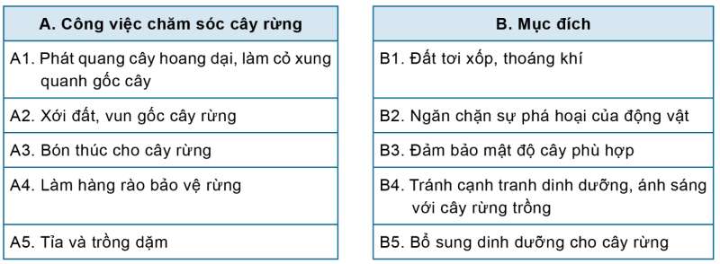 Công nghệ 7 Ôn tập Chủ đề 1: Trồng trọt và lâm nghiệp | Cánh diều (ảnh 7)