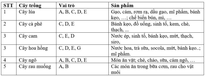 Công nghệ 7 Ôn tập Chủ đề 1: Trồng trọt và lâm nghiệp | Cánh diều (ảnh 2)