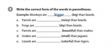 Unit 2: Monkeys are amazing!