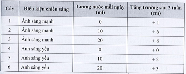 SBT Khoa học tự nhiên 7 Bài 19: Các yếu tố ảnh hưởng đến quang hợp - Cánh diều (ảnh 1)