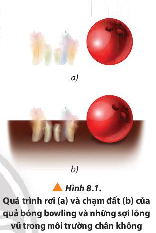 Vật Lí 10 Bài 8: Thực hành đo gia tốc rơi tự do | Giải Lí 10 Chân trời sáng tạo (ảnh 1)