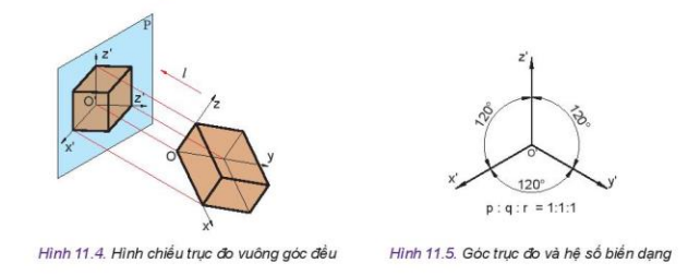 Lý thuyết Công Nghệ 10 Bài 11: Hình chiếu trục đo - Kết nối tri thức (ảnh 1)