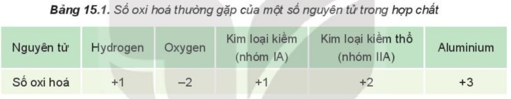 TOP 15 câu Trắc nghiệm Ôn tập chương 4 có đáp án - Hóa học lớp 10 Kết nối tri thức (ảnh 1)