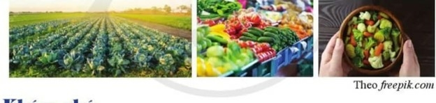Kinh tế 10 Bài 1: Các hoạt động kinh tế trong đời sống xã hội | Cánh diều (ảnh 1)
