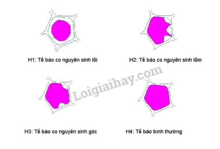  (ảnh 5)