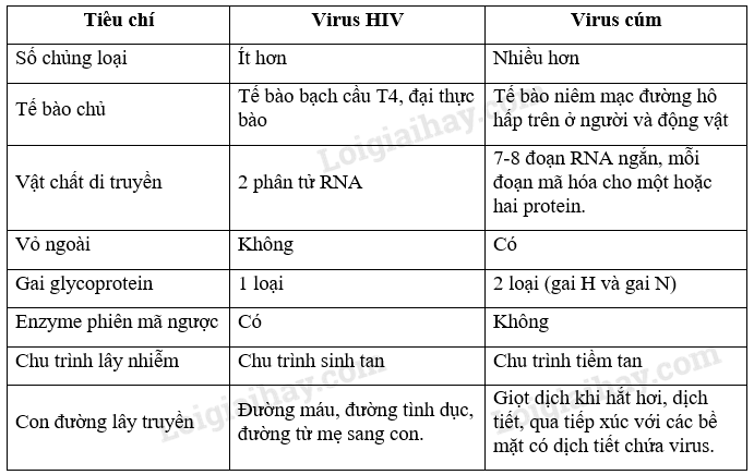  (ảnh 3)