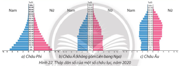 Địa Lí 10 Bài 22: Thực hành phân tích tháp dân số, vẽ biểu đồ cơ cấu dân số theo nhóm tuổi | Chân trời sáng tạo (ảnh 1)