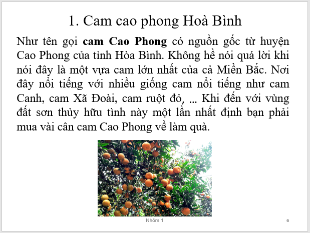 Chuyên đề Tin học 10 (Cánh diều) Dự án của chuyên đề: Thực hành sử dụng phần mềm trình chiếu  (ảnh 1)