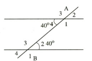 TOP 20 câu Trắc nghiệm Bài ôn tập cuối chương 3- Toán 7 Kết nối tri thức (ảnh 1)