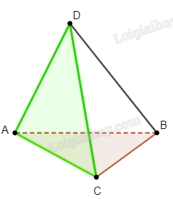 Sách bài tập Toán 11 Bài 1 (Cánh diều): Đường thẳng và mặt phằng trong không gian  (ảnh 1)