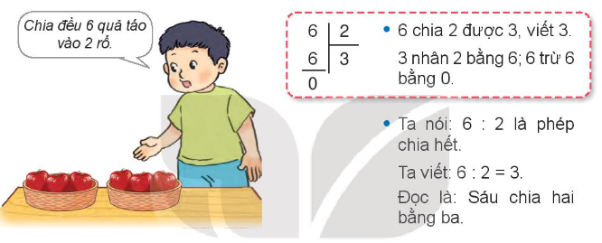 Lý thuyết Phép chia hết, phép chia có dư (Kết nối tri thức 2022) hay, chi tiết | Toán lớp 3 (ảnh 1)