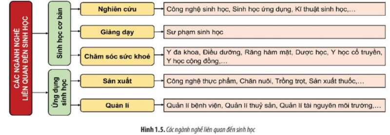 Lý thuyết Sinh học 10 Bài 1 (Chân trời sáng tạo): Giới thiệu khái quát chương trình môn Sinh học (ảnh 6)