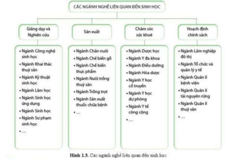 Lý thuyết Sinh học 10 Bài 1 (Cánh diều): Giới thiệu chương trình môn Sinh học, Sinh học và sự phát triển bền vững (ảnh 7)