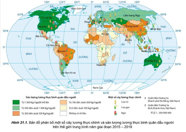 Lý thuyết Địa lí 10 Bài 21: Địa lí các ngành nông nghiệp, lâm nghiệp, thủy sản - Cánh diều (ảnh 1)