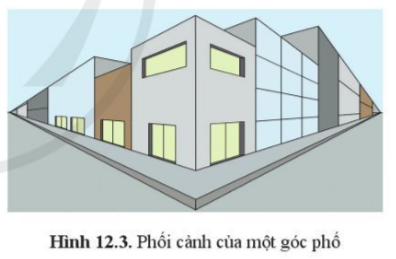 Giải Công nghệ 10 Bài 12: Hình chiếu phối cảnh - Cánh diều (ảnh 1)