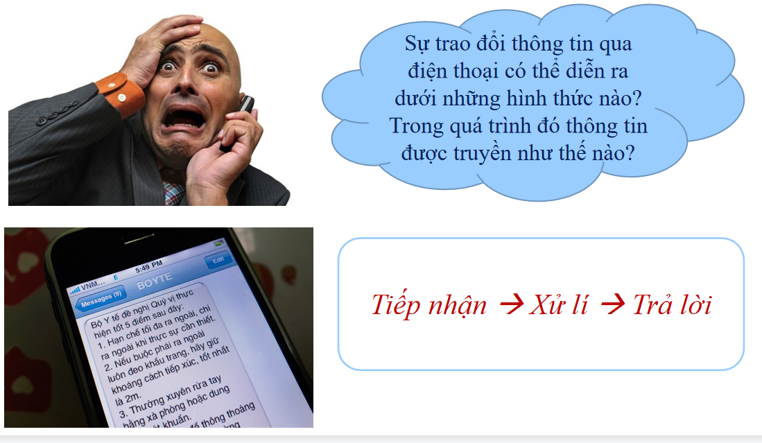 Giáo án điện tử Thông tin giữa các tế bào | Bài giảng PPT Sinh học 10 (ảnh 1)