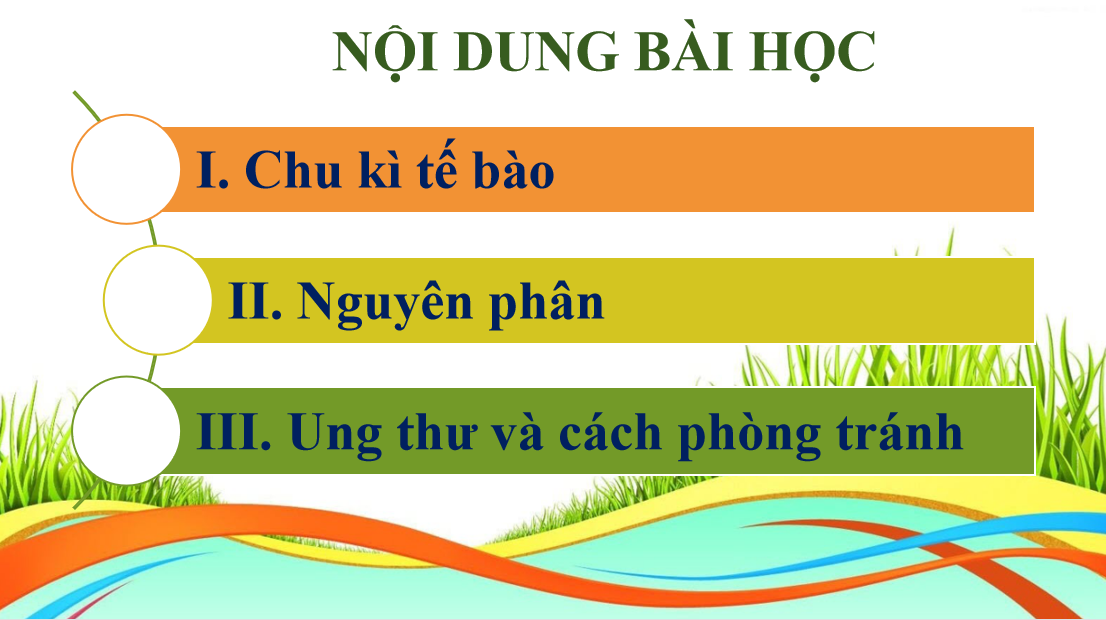 Giáo án điện tử Chu kì tế bào và nguyên phân | Bài giảng PPT Sinh học 10 (ảnh 1)