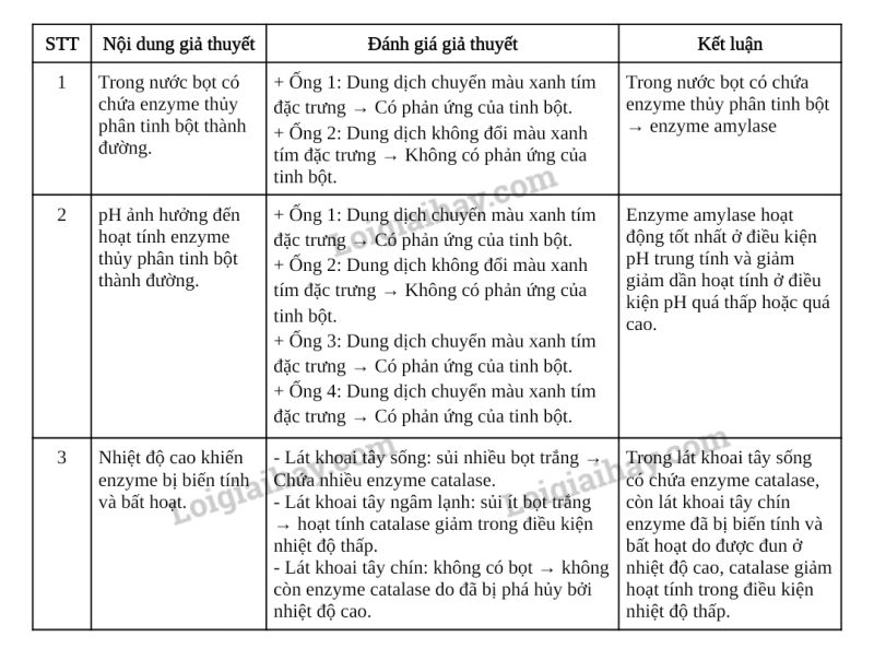 Sinh học 10 Bài 14: Thực hành: Một số thí nghiệm về enzyme | Giải Sinh 10 Chân trời sáng tạo (ảnh 9)
