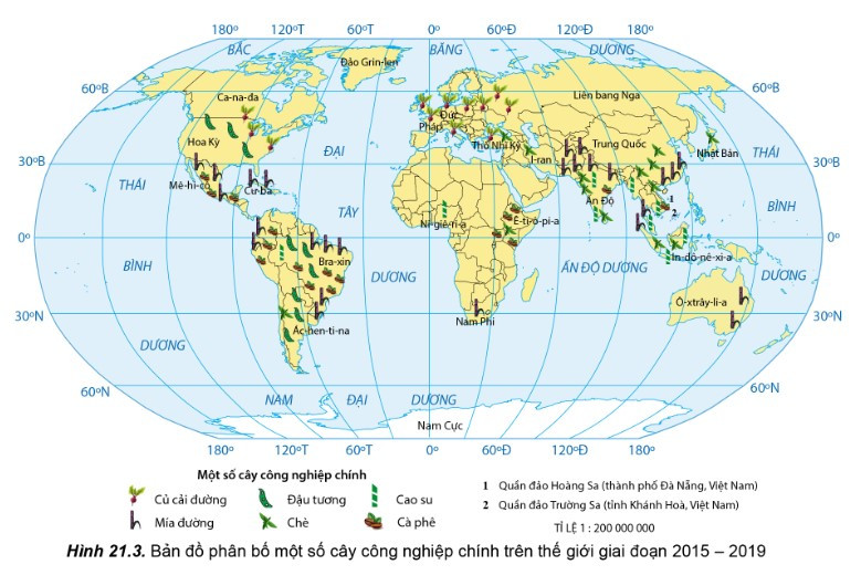 Lý thuyết Địa lí 10 Bài 21: Địa lí các ngành nông nghiệp, lâm nghiệp, thủy sản - Cánh diều (ảnh 1)