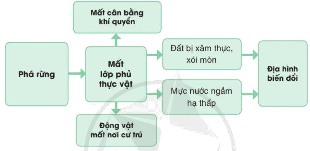 Lý thuyết Địa lí 10 Bài 14: Vỏ địa lí. Quy luật thống nhất và hoàn chỉnh - Cánh diều (ảnh 1)