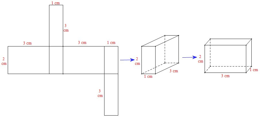 TOP 15 câu Trắc nghiệm Hình hộp chữ nhật – Hình lập phương có đáp án - Toán lớp 7 Chân trời sáng tạo (ảnh 1)