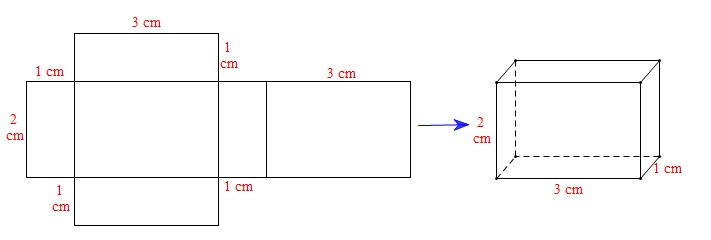 TOP 15 câu Trắc nghiệm Hình hộp chữ nhật – Hình lập phương có đáp án - Toán lớp 7 Chân trời sáng tạo (ảnh 1)