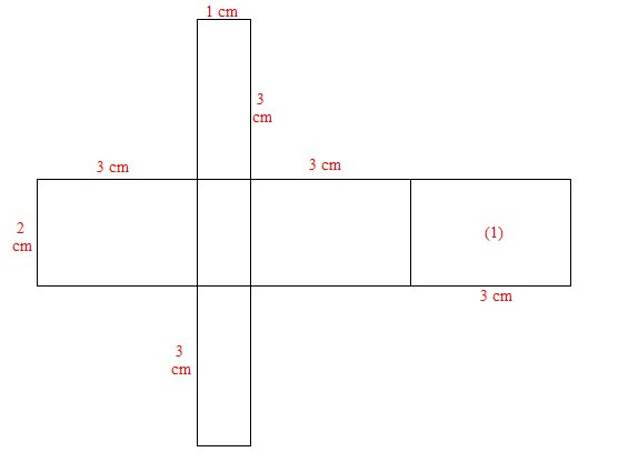 TOP 15 câu Trắc nghiệm Hình hộp chữ nhật – Hình lập phương có đáp án - Toán lớp 7 Chân trời sáng tạo (ảnh 1)