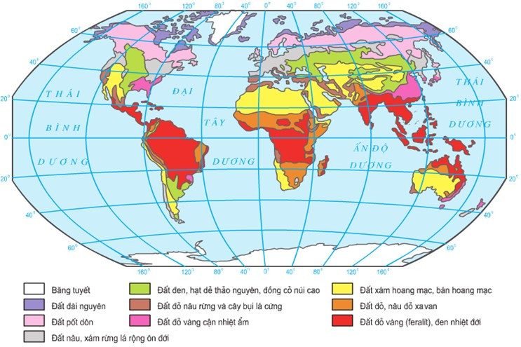 Lý thuyết Địa lí 10 Bài 18: Quy luật địa đới và quy luật phi địa đới - Kết nối tri thức  (ảnh 1)